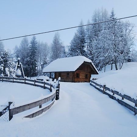 Ferienhaus Gobald Murau Zewnętrze zdjęcie