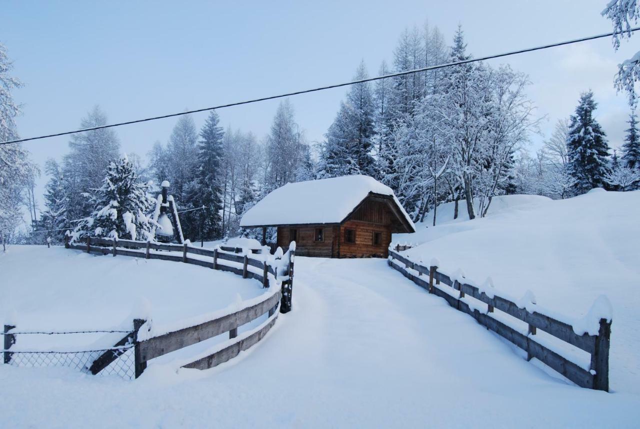 Ferienhaus Gobald Murau Zewnętrze zdjęcie