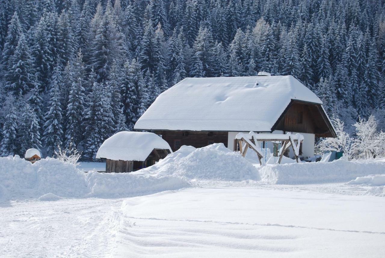 Ferienhaus Gobald Murau Zewnętrze zdjęcie